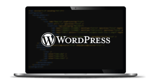 Schnelles WordPress Hosting